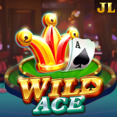 Wild Ace cwin333 slot